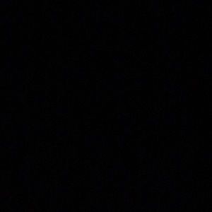 Meet your Posher, Leo